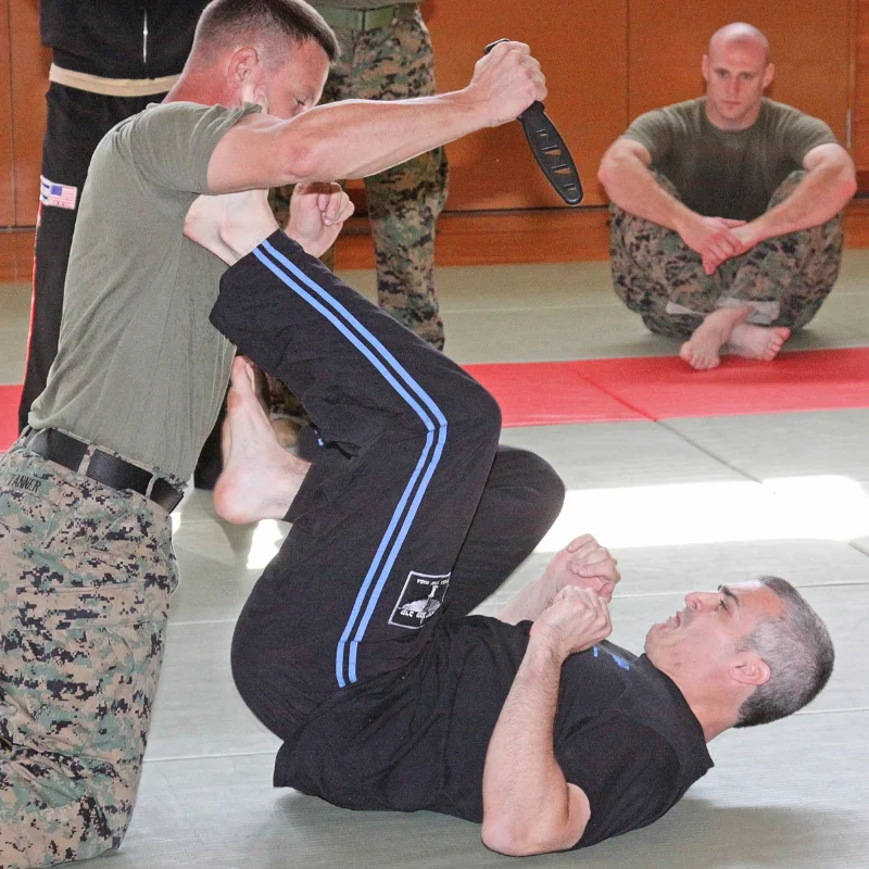 David Kahn Israeli Krav Maga US Chief Instructor David Kahn Israeli Krav Maga US Chief Instructor